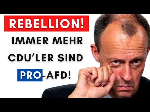 Geil: Ex-CDU-Ministerpräsidentin FÜR Zusammenarbeit mit AfD