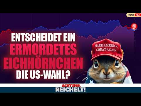 Alles ganz anders! Die WAHREN Prognosen zur US-Wahl Trump vs. Harris, die man Ihnen nicht verrät!