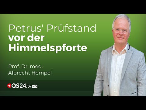 Der Sinn des Lebens: Vom Beliebigen zum Wesentlichen  | Naturmedizin | QS24