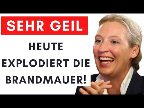 Nach Ampel-Aus: Heute stimmen CDU+AfD+FDP gemeinsam ab! Brandmauer zu Ende!