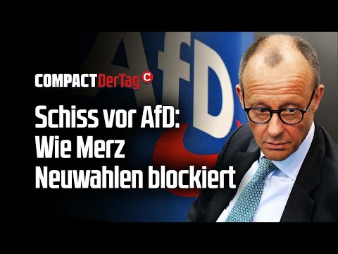 Schiss vor AfD: Wie Merz Neuwahlen blockiert 💥