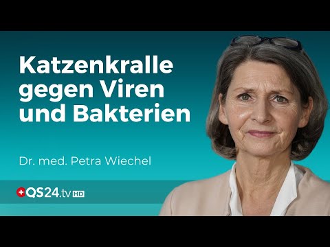 Katzenkralle bei Infektionen: Effektive Unterstützung für Ihr Immunsystem | Dr. med. Wiechel | QS24