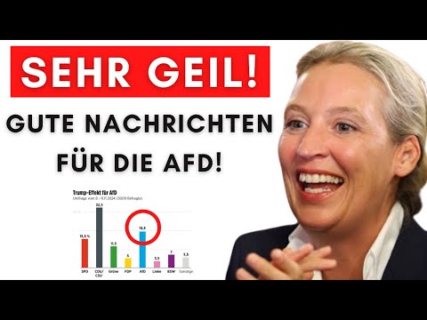 Erste Umfrage nach Ampel-Aus:  AfD gewinnt am stärksten!