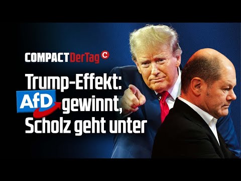 Trump-Effekt: AfD gewinnt, Scholz geht unter 💥