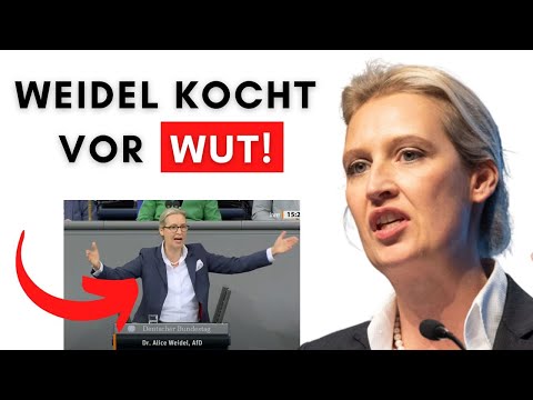 Knallhart! Weidel rechnet mit Scholz & der ganzen CDU ab!