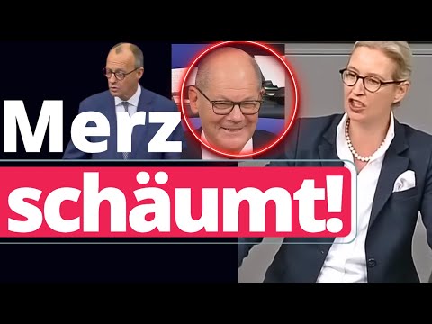 Eklat: Weidel zerlegt Merz so heftig, dass Scholz lacht!