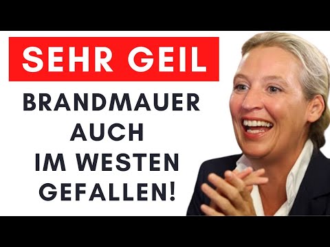 SPD stimmt AfD-Antrag zu – Grüne rasten komplett aus!