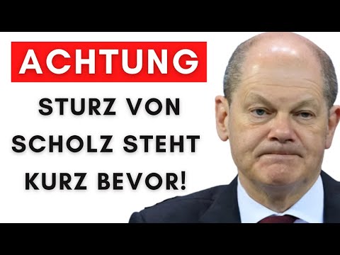 Erste SPD-Bundestagsabgeordnete fordern Pistorius – „Scholz ist unten durch“