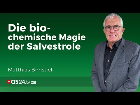 Gesundheit aus der Natur: Die Bedeutung der Salvestrole in der Medizin | Erfahrungsmedizin | QS24