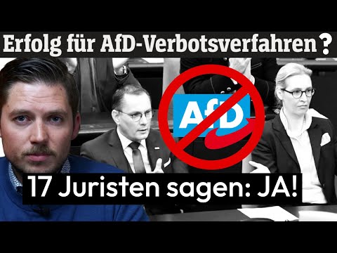 AfD-Verbot hat Aussicht auf Erfolg! Sagen zufällig 17 Juristen