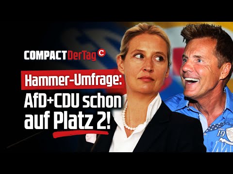 Hammer-Umfrage: AfD+CDU schon auf Platz 2!💥