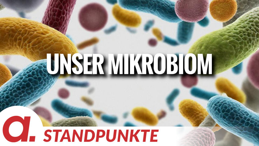 Unser Mikrobiom: Abbild und Schlüssel zur Gesundheit | Von Hans-Jörg Müllenmeister