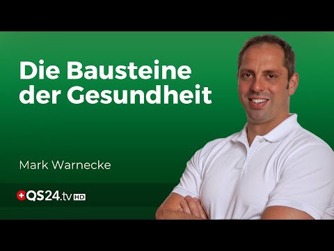 Aufbau & Heilung: Die essenzielle Bedeutung von Proteinen & Aminosäuren für Ihre Gesundheit | QS24