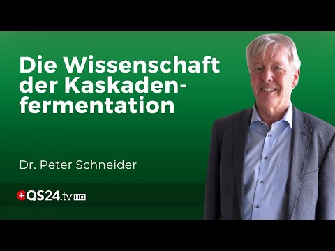 Kaskadenfermentation: Wie ein biologischer Prozess die Selbstheilungskräfte stärken kann | QS24