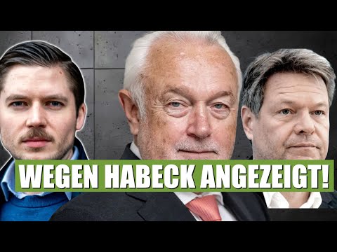 Kubicki wegen Habeck-Post angezeigt! „Unfähigster Wirtschaftsminister aller Zeiten“