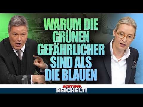 Wenn man AfD und Grüne mal ehrlich vergleicht, dann… | Achtung, Reichelt!