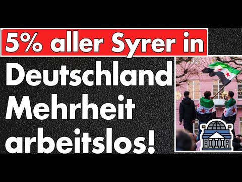 Die Mehrheit der Syrer in Deutschland geht keiner beruflichen Tätigkeit nach!