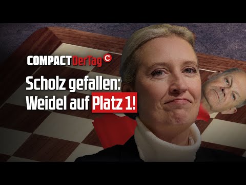 Scholz gefallen: Weidel auf Platz 1!💥