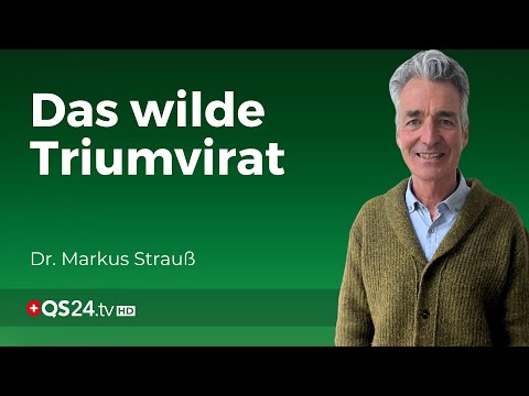 Grüne Schätze der Natur: Wildpflanzen-Ernährung leicht gemacht | Erfahrungsmedizin | QS24