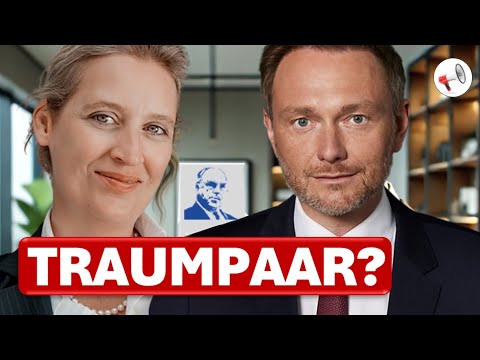 Reißt die FDP die AfD-Brandmauer nieder? | Armin-Paulus Hampel im Interview