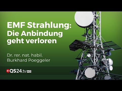 Strahlende Gefahren: Wie Elektrosmog unsere natürliche Schwingungsfrequenz stört  | QS24