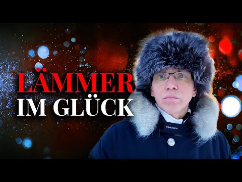 Lämmer im Glück