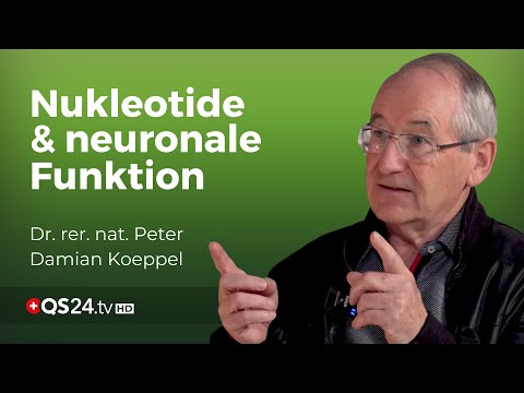 Nukleotide und ihre entscheidende Rolle im Nervensystem und Gehirn | Naturmedizin | QS24