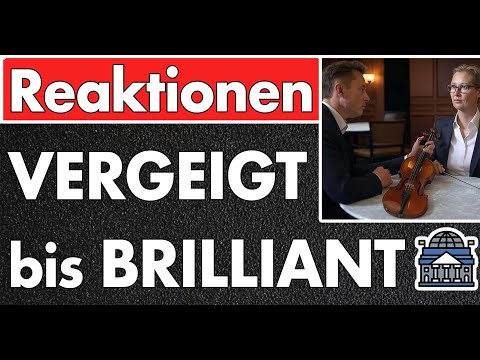 Heftige Reaktionen in beide Richtungen! Meinungen zum Live-Talk zwischen Musk & Weidel am Tag danach