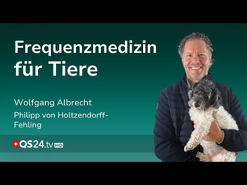 Elektrosmog, Stress und Co.: Was unsere Haustiere krank macht | Erfahrungsmedizin | QS24