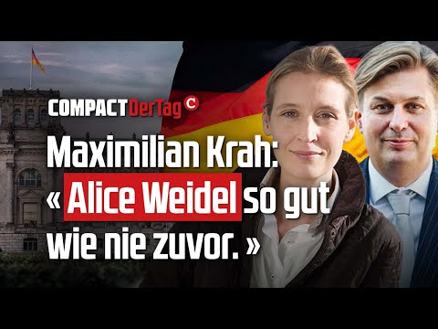 Maximilian Krah: «Alice Weidel so gut wie nie zuvor» 💥