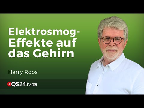 Live EEG-Messungen: Elektrosmog und seine Wirkung auf das Gehirn | Naturmedizin | QS24