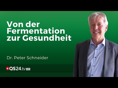 Dreistufenfermentation: Ein Weg zu besserer Gesundheit durch gezielte Fermentation | QS24