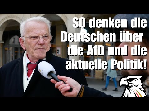 SO denken die Deutschen über die AfD und die aktuelle Politik!