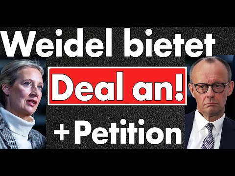 Deal or No Deal? Weidel bietet CDU einmalige Gelegenheit: Asylwende jetzt mit Petition Druck erhöhen