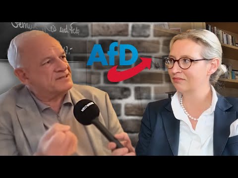 Was halten Sie von der Brandmauer? Weidel, Hahne, Weselsky und weitere über die Ausgrenzung der AfD