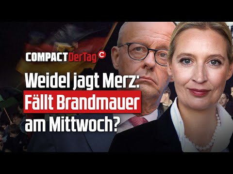 Weidel jagt Merz: Fällt Brandmauer am Mittwoch?💥