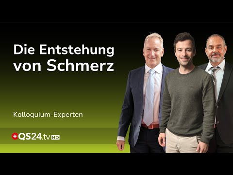 Von Nervenbahnen bis zur Empfindung: Eine Reise in die Anatomie und Physiologie | QS24