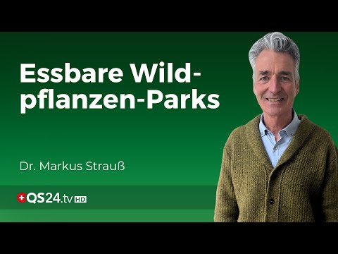 Natur im Einklang: Die Vision von essbaren Wildpflanzen-Parks | Erfahrungsmedizin | QS24