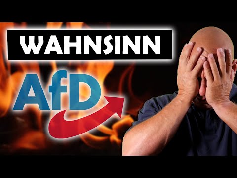 Die Brandmauer-Lüge: Alle gegen die AFD