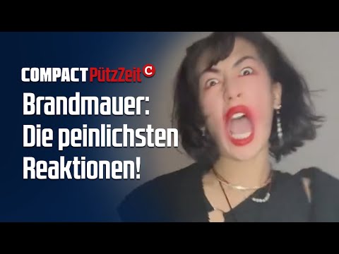 Brandmauer: Die PEINLICHSTEN Reaktionen!