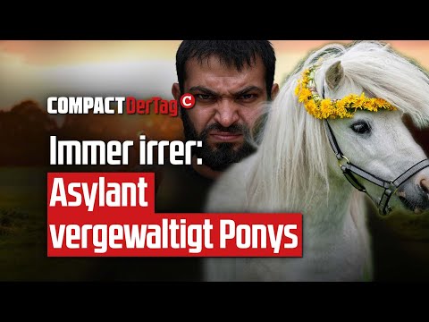 Immer irrer: Asylant vergewaltigt Ponys 💥