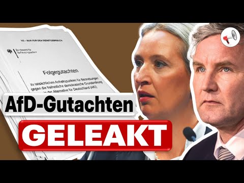 AfD: 1.000-seitiges Verfassungsschutz-Gutachten veröffentlicht | Satire