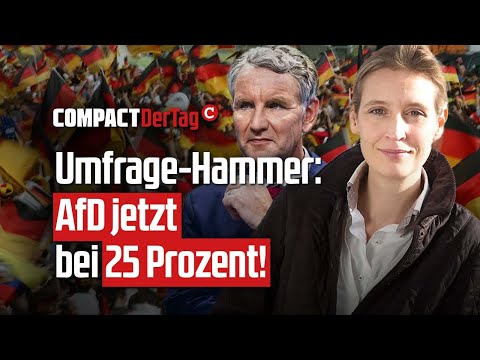 Umfrage-Hammer: AfD jetzt bei 25 Prozent!💥