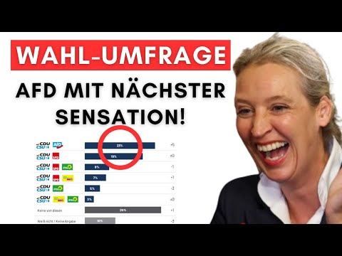 Mehrheit der Deutschen will jetzt CDU+AfD Regierung – Grund ist spektakulär!