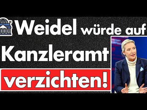 Wahre Größe! Dafür würde Alice Weidel auf die Kanzlerschaft verzichten: Zuerst das Land!