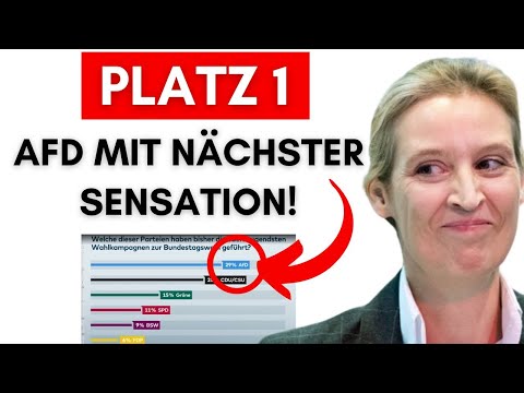 Sensation: AfD auf Platz 1 der besten Wahl-Kampagnen!