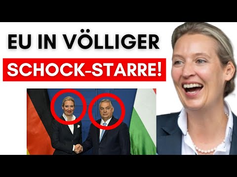 Weidel & Orban lassen Medien-Bombe platzen!