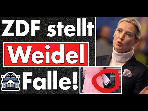 ZDF stellt Weidel eine große Falle! Alle haben nicht die volle Wahrheit gesagt! Hier die Fakten!