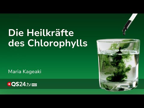 Die Heilkräfte des Chlorophylls: Das pflanzliche Geheimnis für starke Gelenke | QS24