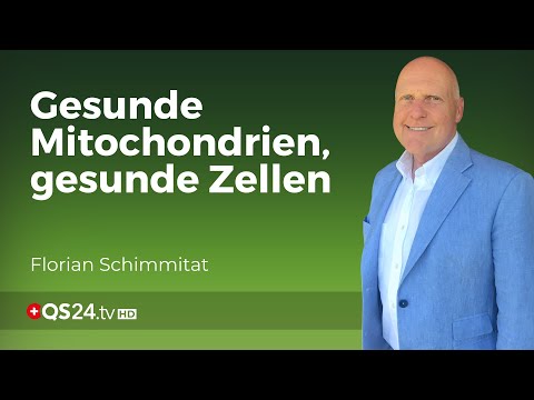 Die Gamechanger beim Mitochondrien-Tuning und welchen Fehler man unbedingt vermeiden sollte! | QS24